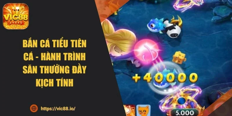 ban-ca-tieu-tien-ca